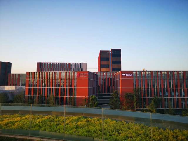 深圳环保型切削油货期快